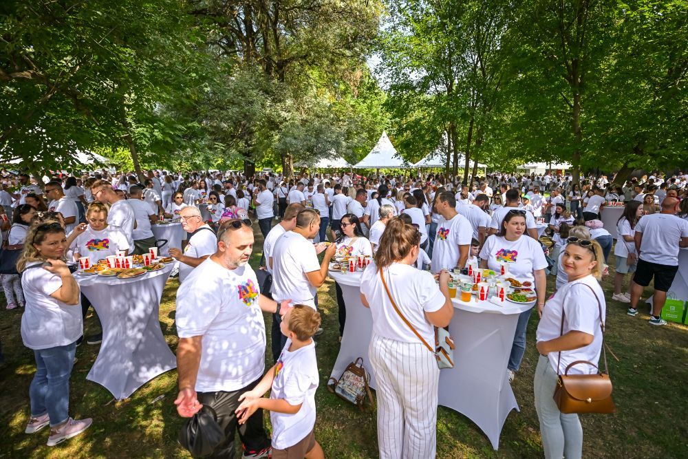 humanitaren-piknik-9.jpg